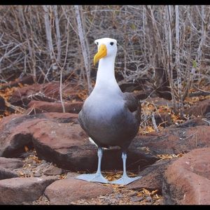 Meet your Posher, Kerry